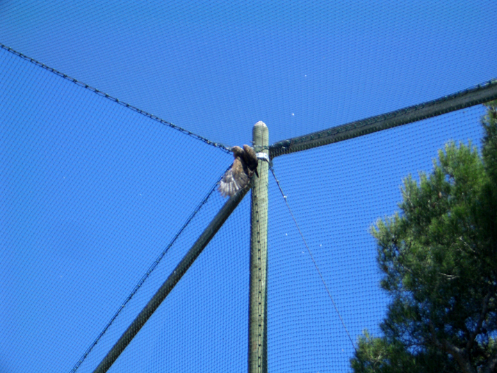 2005-08 La BArben 038.JPG